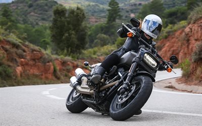 Harley-Davidson Fat Bob 114, superbike, 2018 bici, motociclista, strada, Harley-Davidson