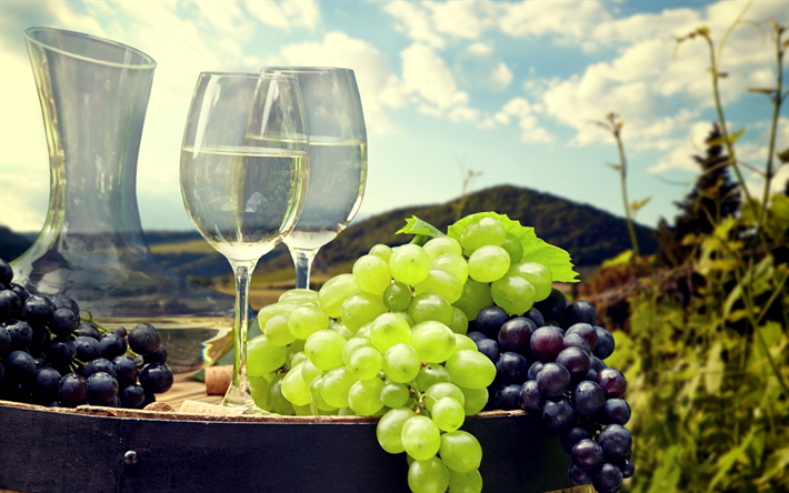 las uvas, el vino blanco, el barril, la cosecha, el vino