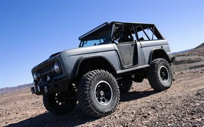 4k, Ford Bronco, SUVs, 1975 cars, offroad, Ford