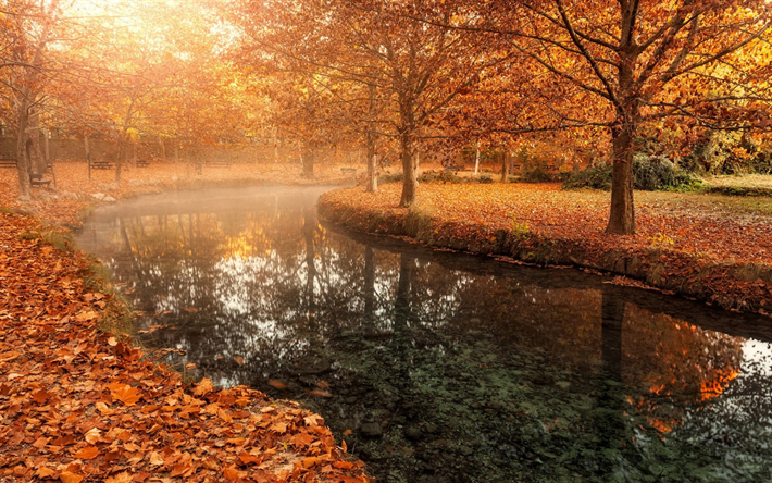 deep autumn, park, benches, yellow leaves, November, autumn landscape, river