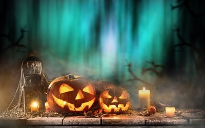 Halloween, pumpkins, night, forest, candles, October 31, autumn holidays