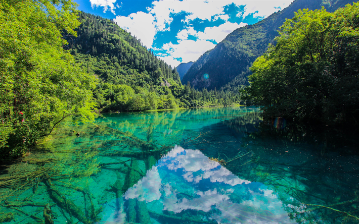 Jiuzhaigou Ulusal Parkı, 4k, yaz, orman, mavi nehir, Asya, &#199;in, Jiuzhaigou