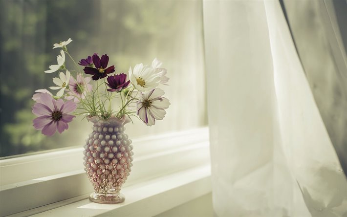 maljakko kukkia ikkunassa, kimppu luonnonkasvi, kauniita kukkia, ikkuna
