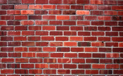 red brickwall, macro, red bricks, bricks textures, red bricks wall, bricks, wall, red bricks background, red stone background