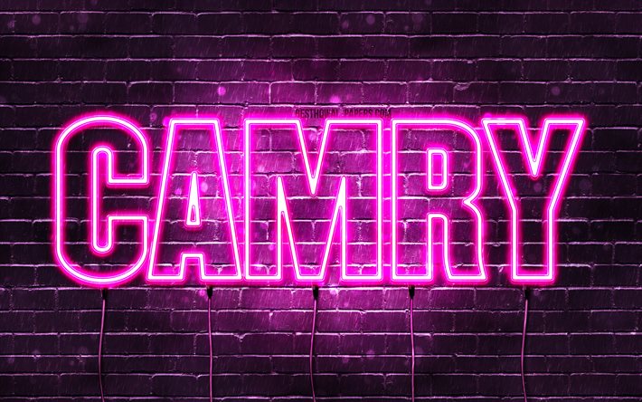 Joyeux anniversaire Camry, 4k, n&#233;ons roses, nom de Camry, cr&#233;atif, joyeux anniversaire de Camry, anniversaire de Camry, noms f&#233;minins japonais populaires, photo avec le nom de Camry, Camry