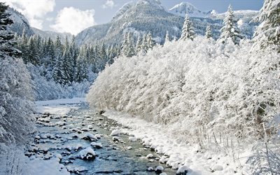 inverno, montanhas, rio de montanha, neve, paisagem de inverno