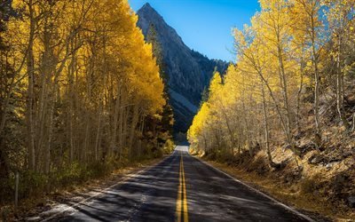 mountain road, autumn, yellow leaves, asphalt road, forest, mountain landscape