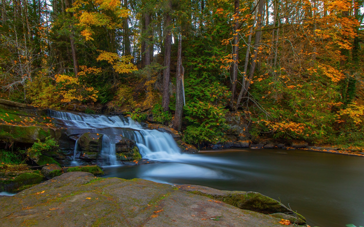 waterfall, autumn, forest, lake, Millstone Creek, Bowen Park, Nanaimo, British Columbia, Canada