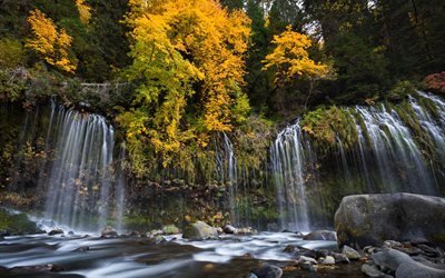 Mossbrae Falls, syksy, vesiputous, rock, keltainen puita, Sacramento River, California, Dunsmuir