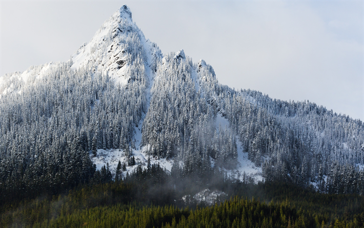 invierno, monta&#241;a, rocas, paisaje de invierno, nieve, bosque, estados UNIDOS, Washington, Estados unidos