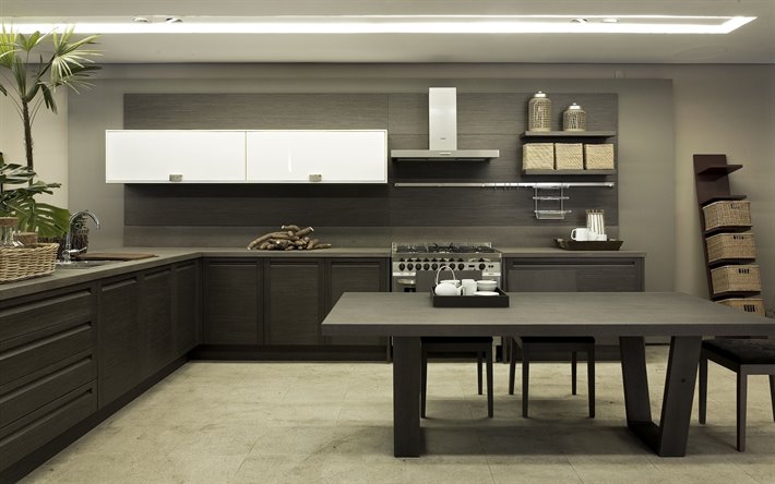 cinza cozinha elegante, um design interior moderno, cozinha, cinza acess&#243;rios de cozinha, moderno e elegante interior