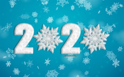 2020 background with snowflake, Blue snowflakes texture, Happy New Year 2020, blue winter background, 2020 concepts, New Year 2020, white fluffy snowflakes, Blue 2020 background