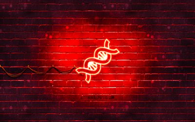 DNA neon icon, 4k, red background, neon symbols, DNA, neon icons, DNA sign, medical signs, DNA icon, medical icons