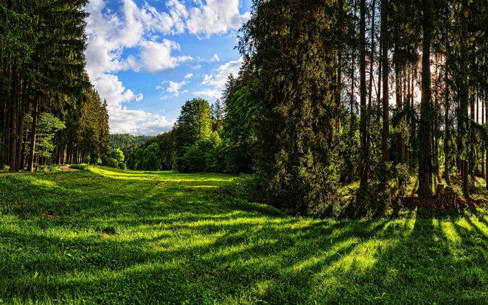アウクスブルクCity in Germany, 4k, 夏。, 森，森林, HDR, 美しい自然, ドイツ, ヨーロッパ