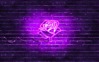 &#205;cone de n&#233;on da Rosa Violeta, 4k, fundo violeta, s&#237;mbolos de n&#233;on, Rosa Violeta, &#237;cones de n&#233;on, Sinal da Rosa Violeta, flores de n&#233;on, Sinais da natureza, &#205;cone da Rosa Violeta, &#237;cones da natureza