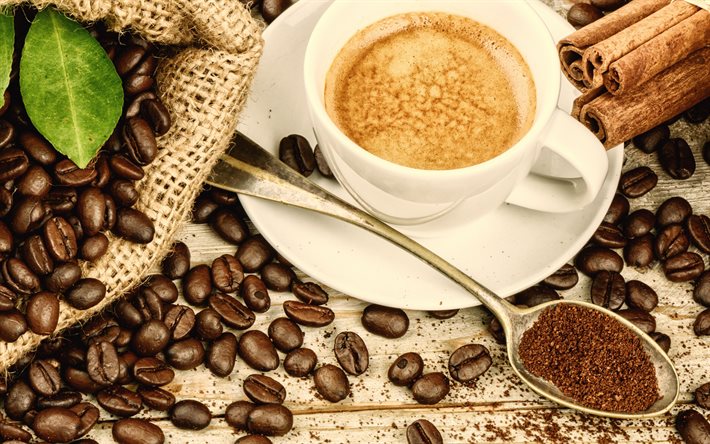 cappuccino, concetti di caff&#232;, chicchi di caff&#232;, bastoncini di cannella, tazza di caff&#232;