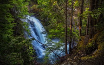 mountain waterfall, forest, evening, sunset, green spruces, coniferous forest, environment, waterfall, Oregon, USA