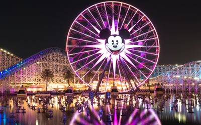 Disneyland, il parco divertimenti, fontana, ruota Panoramica, notte