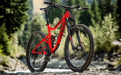 Giant Reign, 4k, 2018 bicycles, Giant
