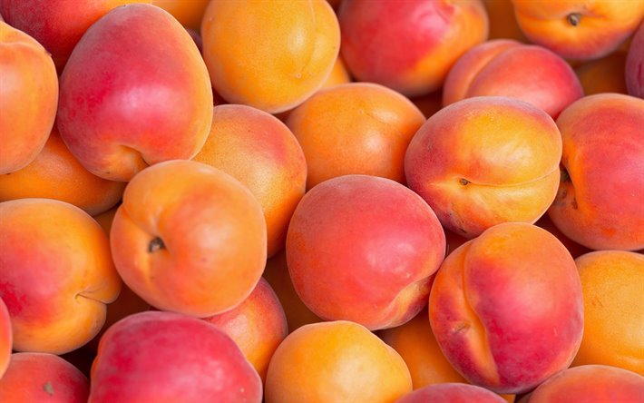 apricots, 4k, fruits, close-up, ripe apricots, macro, apricots textures