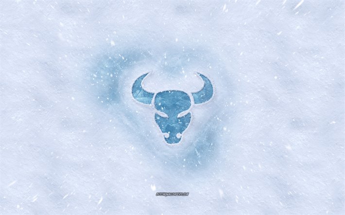 タウルス&quot;干支, 冬の概念, 雪質感, 雪の背景, Taurusサ, 冬の美術, Taurus