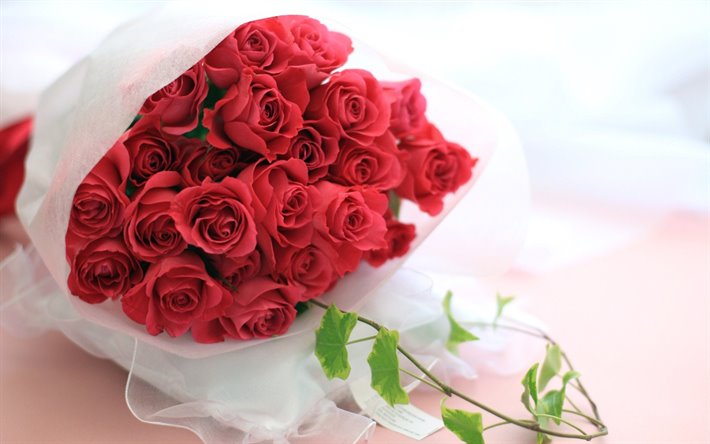 des roses rouges, gros bouquet de roses, fond avec des roses, de belles fleurs, des roses