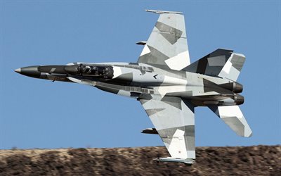 McDonnell Douglas FA-18 Hornet, USAF, United States Air Force, USA, F-18, american carrier-based fighter