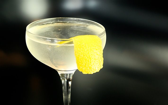 Vesper Cocktail, le gin, la vodka, le Kina Lillet, les diff&#233;rentes boissons, Vesper