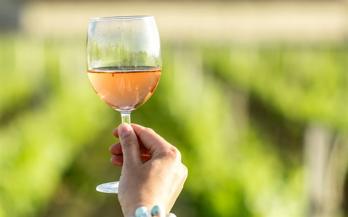 白ワイン, ガラスのワインの使用実態をより適切に反映でき, ワインの概念, ブドウ, ワイン