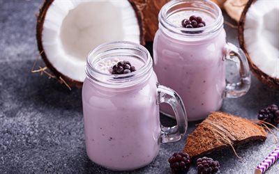 yogourt, fruits milk-shake, blackberry yogourt, les milk-shakes, des noix de coco