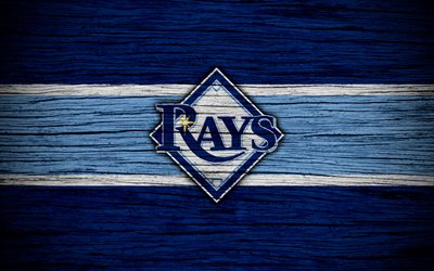 Tampa Bay Rays, 4k, MLB, baseball, USA, Major League Baseball, wooden texture, art, baseball club