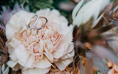 結婚指輪, ピンク色の菊, 結婚式の概念, ジュエリー, ホワイトゴールド