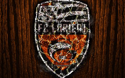 FC Lorient, scorched logo, Ligue 2, orange wooden background, french football club, Lorient FC, grunge, football, soccer, Lorient logo, fire texture, France