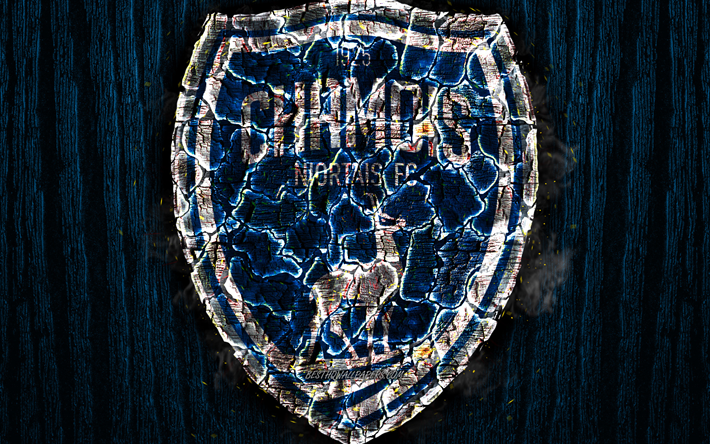 Chamois Niortais, scorched logo, Ligue 2, blue wooden background, french football club, Chamois Niortais FC, grunge, football, soccer, Chamois Niortais logo, fire texture, France