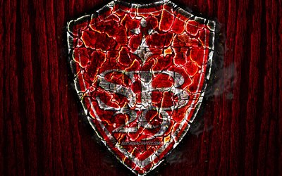 Stade Brestois 29, scorched logo, Ligue 2, red wooden background, french football club, Stade Brestois FC, grunge, football, soccer, Stade Brestois logo, fire texture, France