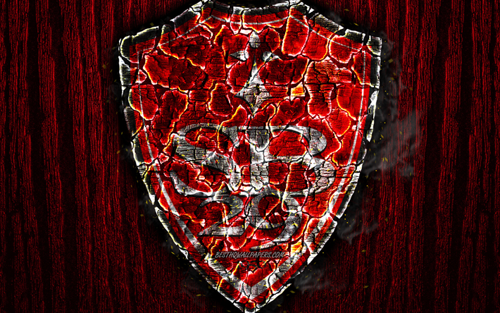 Stade Brestois 29, scorched logo, Ligue 2, red wooden background, french football club, Stade Brestois FC, grunge, football, soccer, Stade Brestois logo, fire texture, France