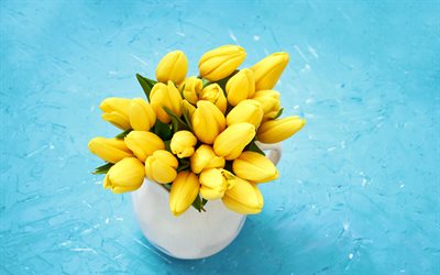 tulipes jaunes, un bouquet de tulipes, un vase, de jaune, de belles fleurs, tulipes, fleurs de printemps, les tulipes sur fond bleu