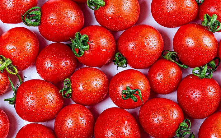 tomaatit, makro, vihanneksia, tomaatit kaste, tuoreita vihanneksia, kypsi&#228; tomaatteja