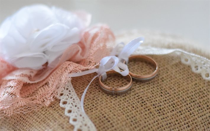 wedding rings, gold rings, white silk bow, white rose, wedding concepts