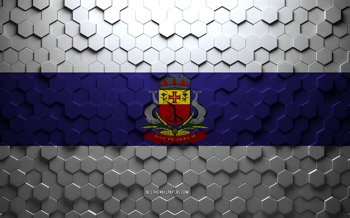 Flag of Caraguatatuba, honeycomb art, Caraguatatuba hexagons flag, Caraguatatuba, 3d hexagons art, Caraguatatuba flag