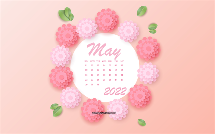 kalender mai 2022, 4k, rosa blumen, mai, fr&#252;hlingskalender 2022, 3d-papier rosa blumen