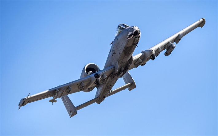 フ共和国A-10サンダーボルトII, Warthog, アメリカ攻撃機, 米空軍, 軍用機, ツイン-エンジン攻撃機