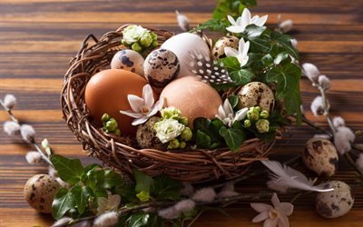 Easter, Willow branches, nest, Easter eggs, decoration, spring flowers