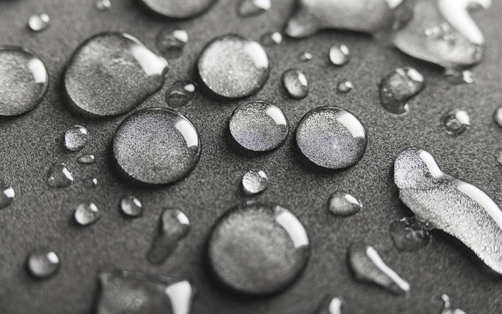 drops of water, gray background, black and white photo, water concepts