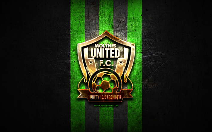 Molynes United FC, golden logo, Jamaica Premier League, green metal background, football, jamaican football club, Molynes United logo, soccer, Molynes United