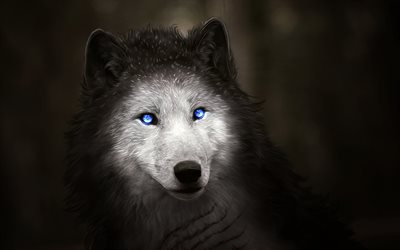 الذئب, الغابات, الكلب, الحيوانات المفترسة, الفن الرقمي