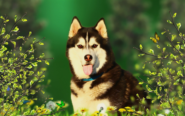 Alaskan Malamute, 大きな犬, 美術, 図面, 肖像, アラスカ