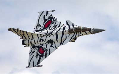 Dassault Rafale, French fighter, top view, tiger camouflage, military aircraft