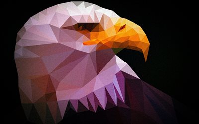 Eagle, low poly art, predatory bird, 3d art, birds