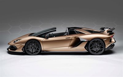 Lamborghini Aventador S Roadster, 2019, sivukuva, luksus-auton, uusi ruskea Aventador, italian lipun, italian urheiluautoja, Lamborghini